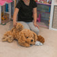 PlumoToys® Puppy Stuffed Animals for boys Ages 3 4 5 6 7 8 Years;1 Big Mommy Dog with 4 Mini Baby Dogs Cute Soft Plush Dog Stuffed Dog with Puppies Gift for boys girls (Puppy Dog)
